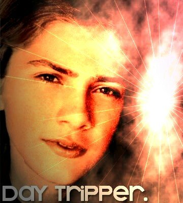 Day Tripper